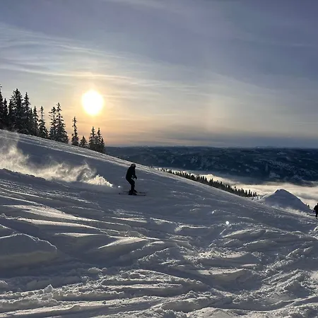 Lägenhet Nord-garthus, 2 Holera